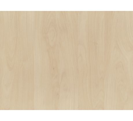 HDF doska lakovaná H5853 BREZA