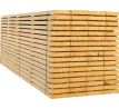 Stavebná Fošna surová 50x200 3m